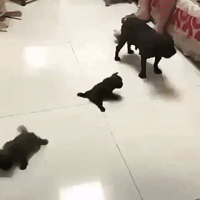 Гифки разные