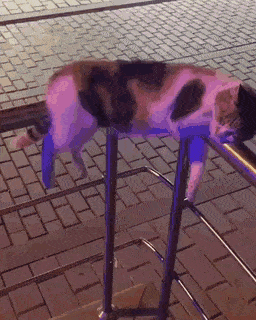 Гифки разные