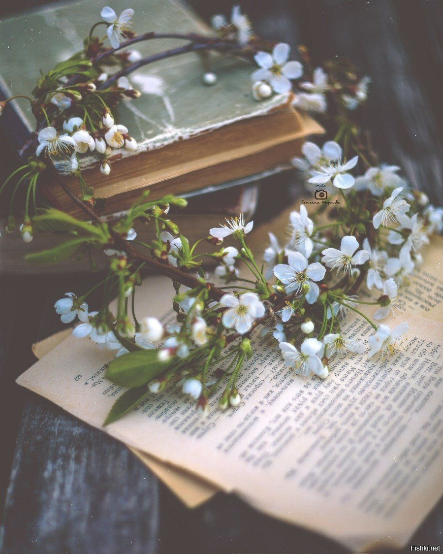 Год в цветах книга. Книга цветы. Книга с цветами. Красивые книги. Эстетика книг и цветов.