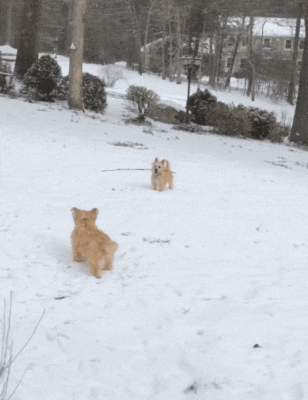 Бывает же такое! Бывает же такое!