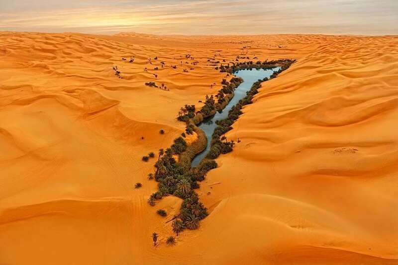 18. «Так выглядит оазис в Ливийской пустыне»