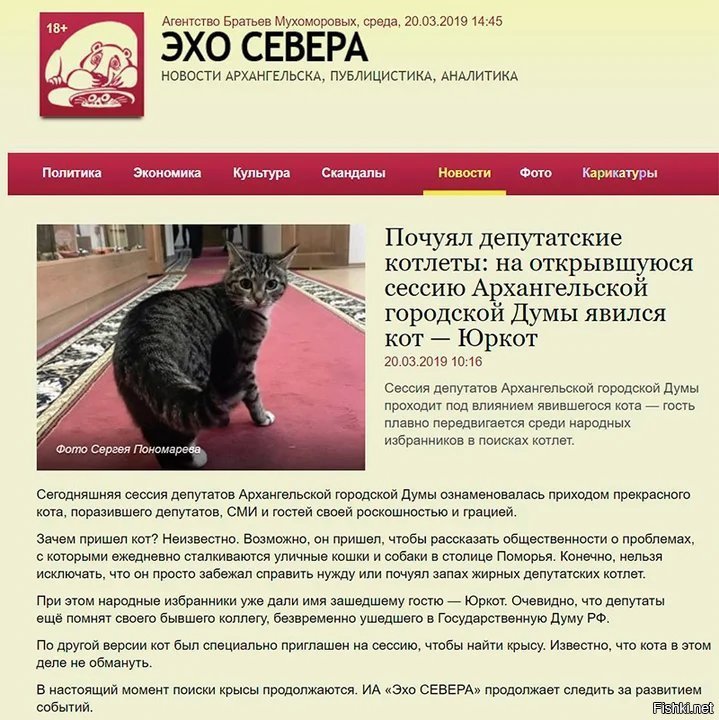 Вопросы на сессию депутатов. По версии кота. По другой версии кота. Приглашение на сессию депутатов.