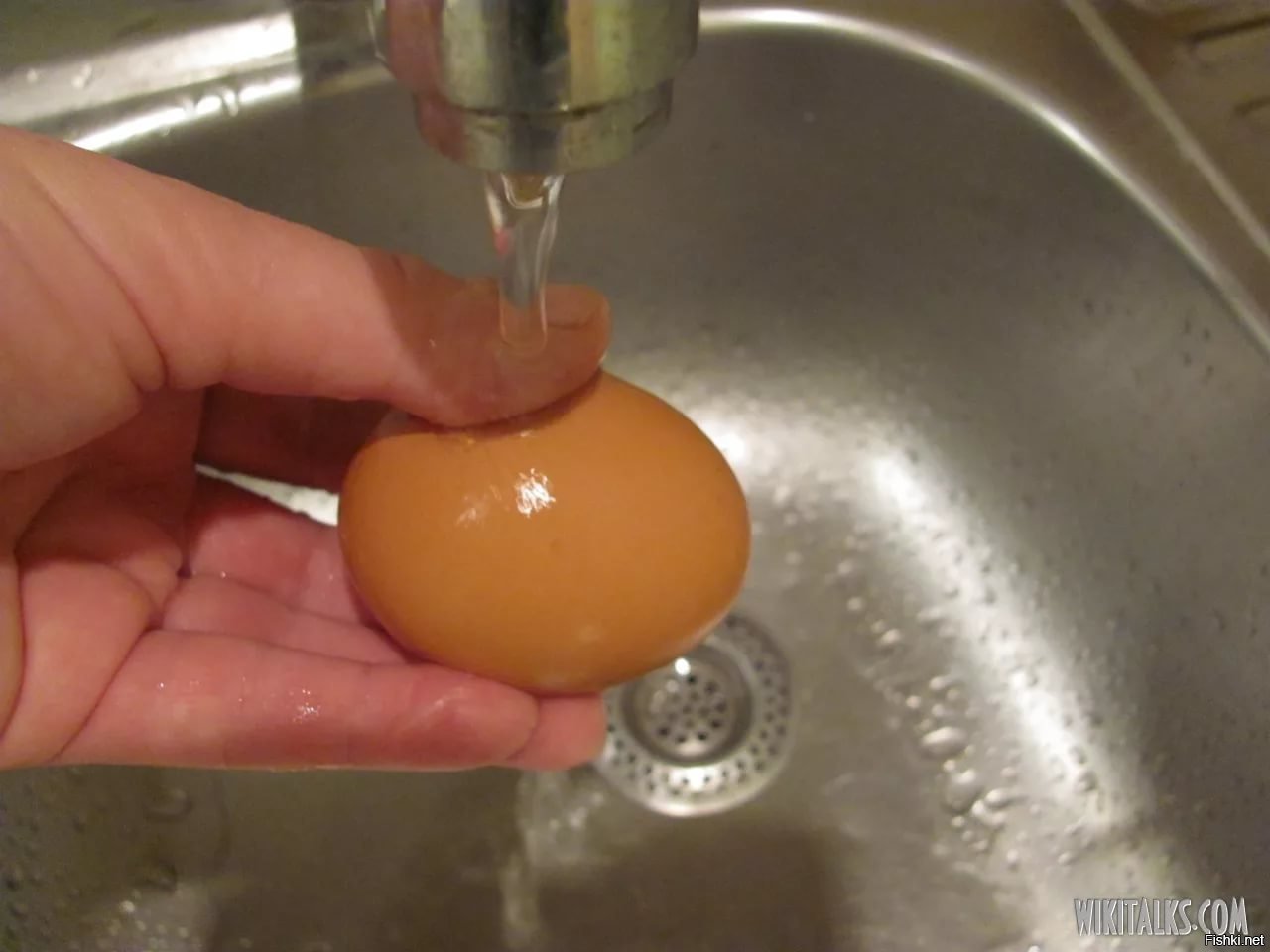Можно ли мыть яйца перед хранением домашние. Мытье куриных яиц. Помыть яйца. Мойка яиц. Промывка яиц.