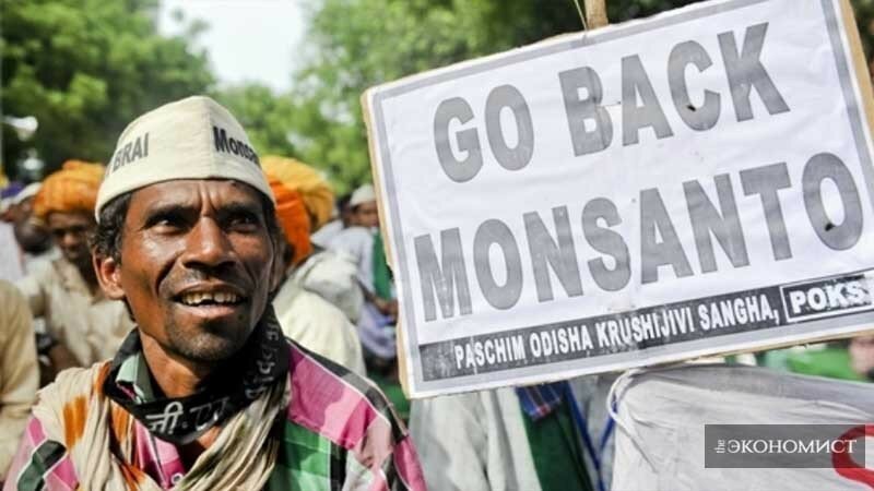 Чиновник из ФАС пытается впустить ГМО-гигантов «Монсанто» и «Байер» в Россию