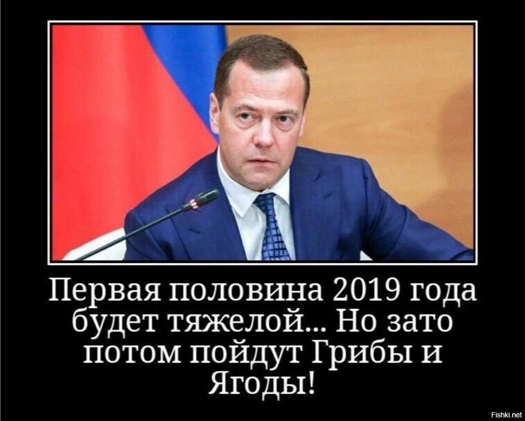 Медведева грибы