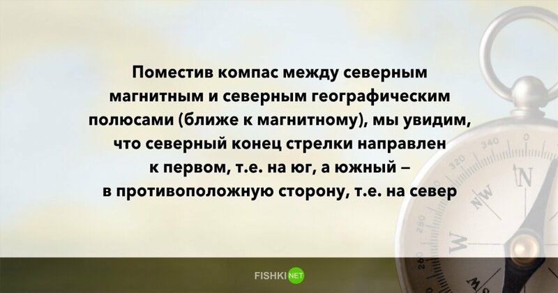 10 вопросов, которые не дадут вашим мозгам "окостенеть"