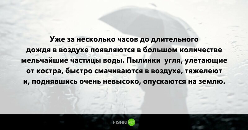 10 вопросов, которые не дадут вашим мозгам "окостенеть"