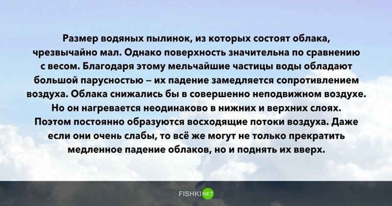 10 вопросов, которые не дадут вашим мозгам "окостенеть"