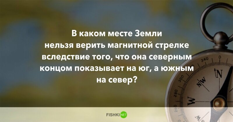 10 вопросов, которые не дадут вашим мозгам "окостенеть"