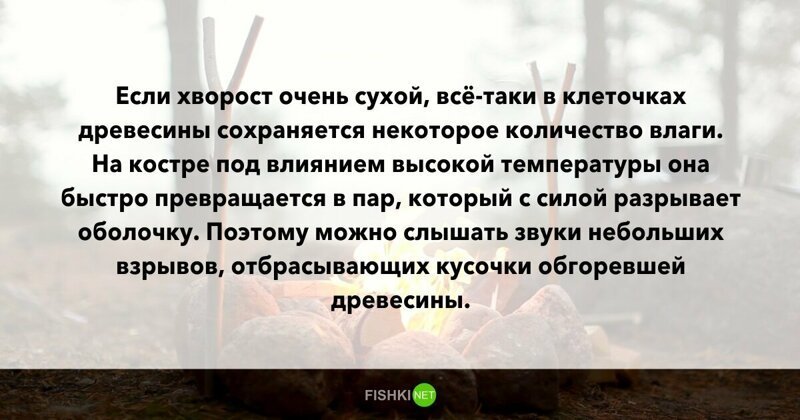 10 вопросов, которые не дадут вашим мозгам "окостенеть"