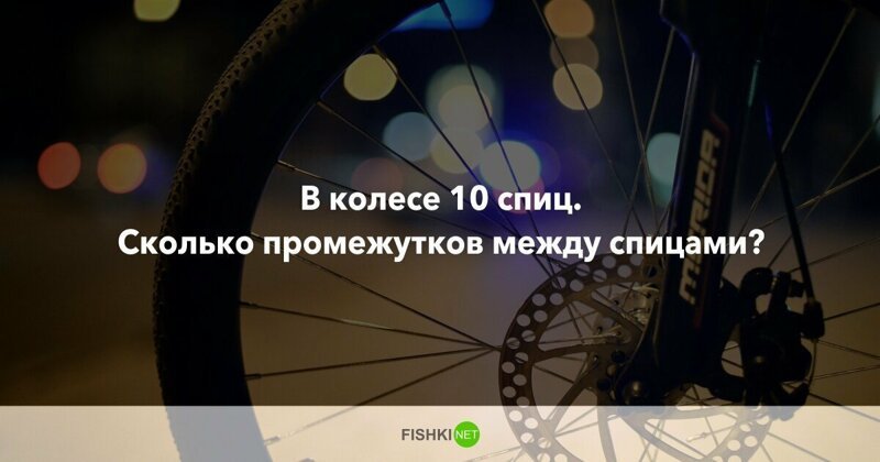 10 вопросов, которые не дадут вашим мозгам "окостенеть"