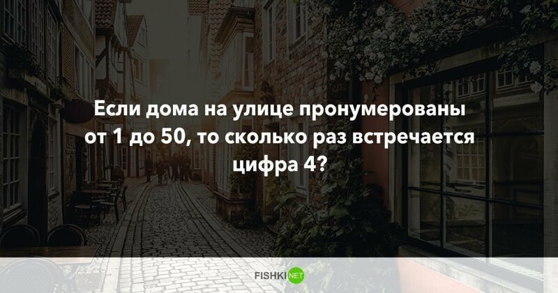 10 вопросов, которые не дадут вашим мозгам "окостенеть"