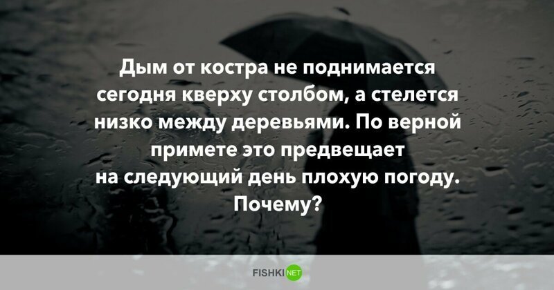 10 вопросов, которые не дадут вашим мозгам "окостенеть"