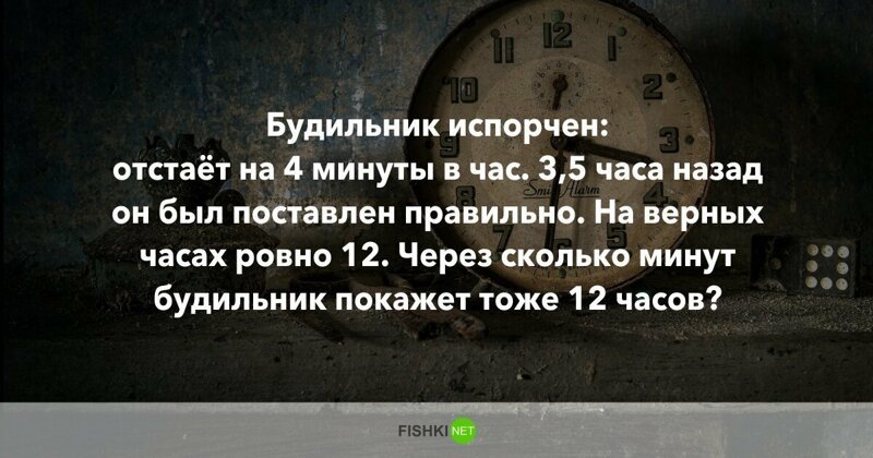 10 вопросов, которые не дадут вашим мозгам "окостенеть"