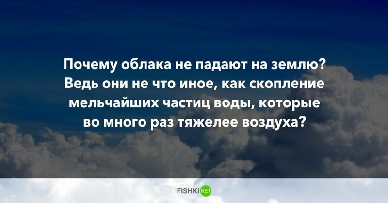 10 вопросов, которые не дадут вашим мозгам "окостенеть"