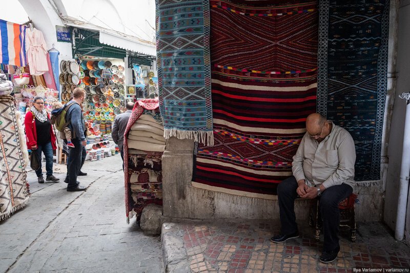 Тунис: море, трамваи, ковры