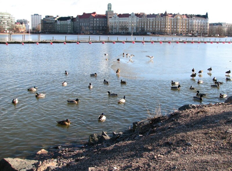 Хельсинки. Разные лица столицы Финляндии