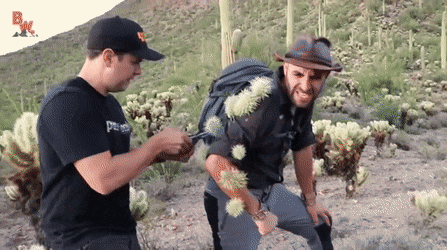 Гифки разные