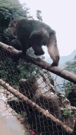 Гифки разные