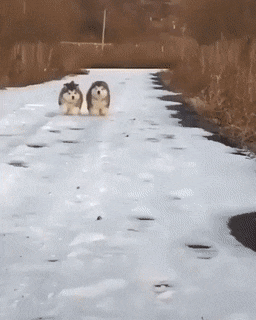 Гифки разные