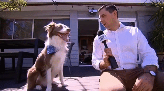 Гифки разные