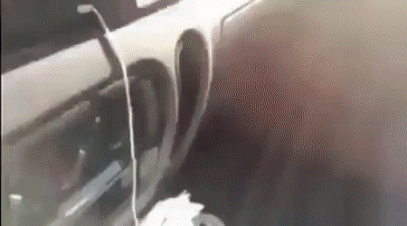 Гифки разные