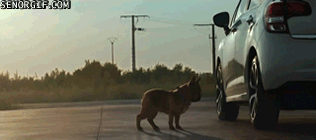 Гифки разные