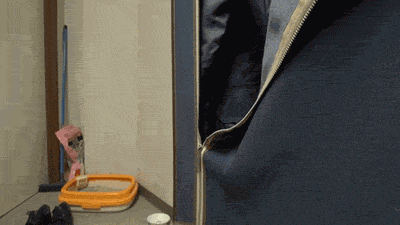 Гифки разные