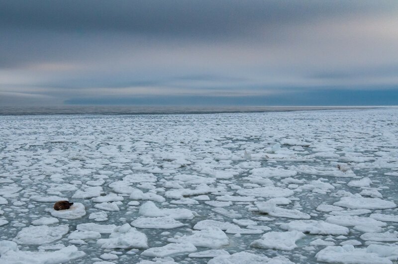 «Когда уходит лёд». Автор фото: Григорий Цидулко.