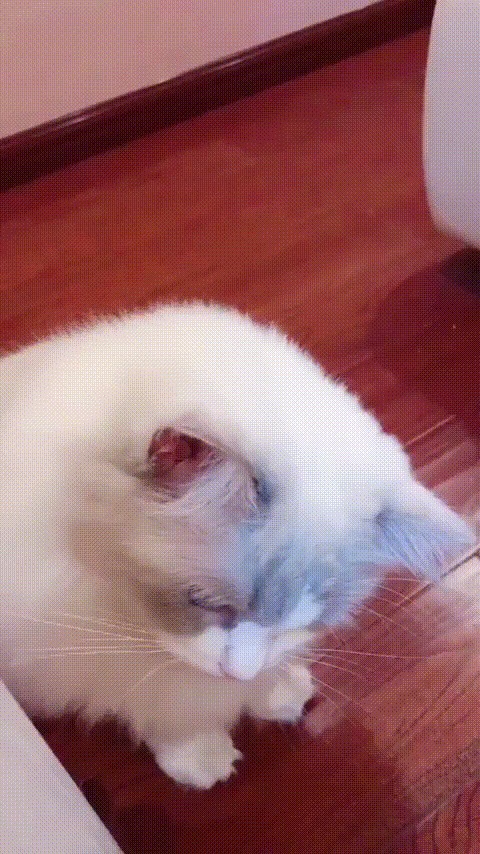 Гифки разные