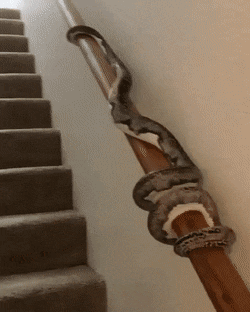 Гифки разные