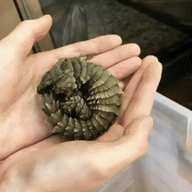 Гифки разные