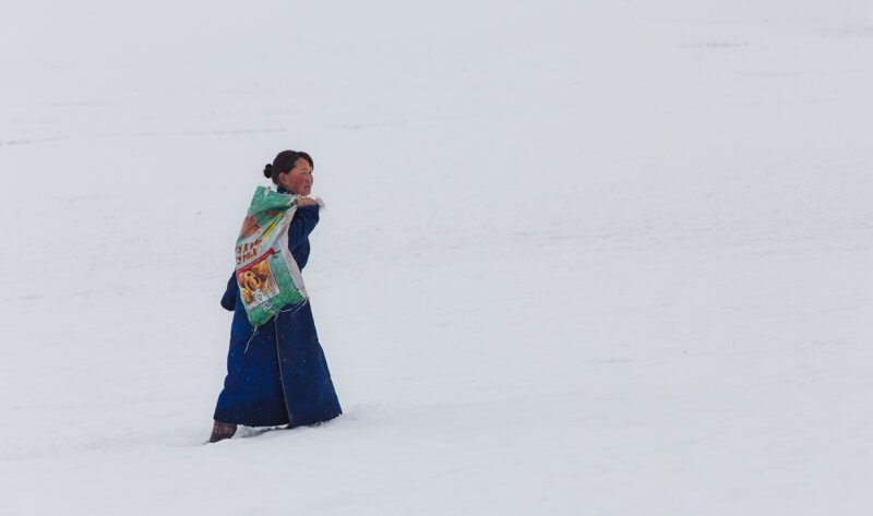 Фотозарисовки жизни в Монголии