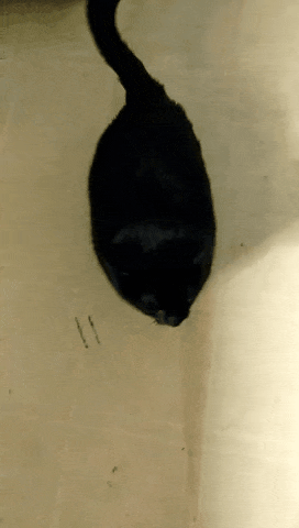 С добрым утром!