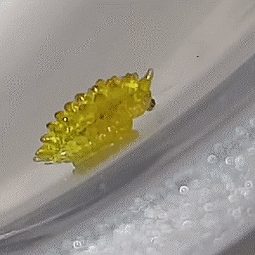 Подборка оригинальных гифок