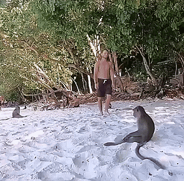 Подборка оригинальных гифок