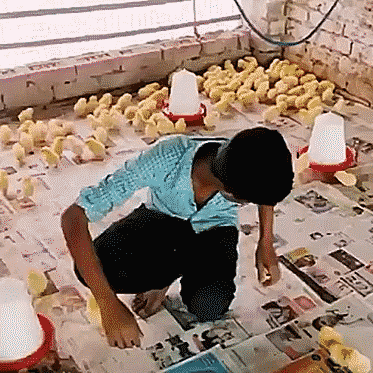 Подборка оригинальных гифок