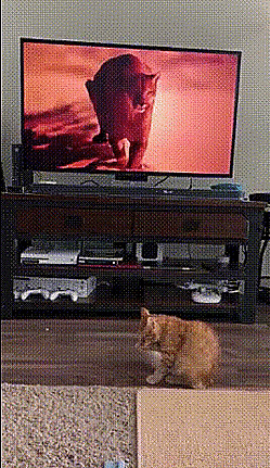 Подборка оригинальных гифок