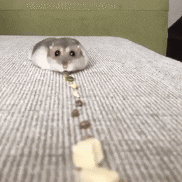 Гифки разные