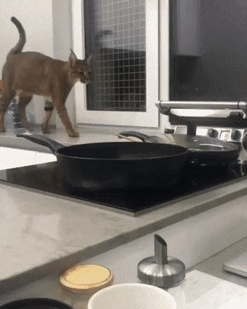 Гифки разные