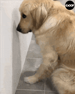 Гифки разные