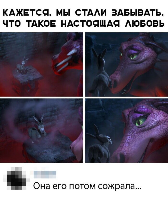 Скрины из социальных сетей