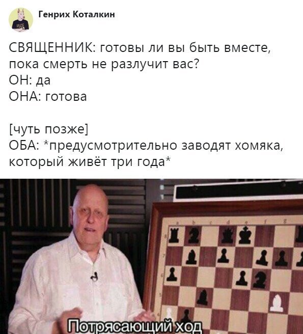 Скрины из социальных сетей