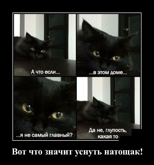Демотивируй