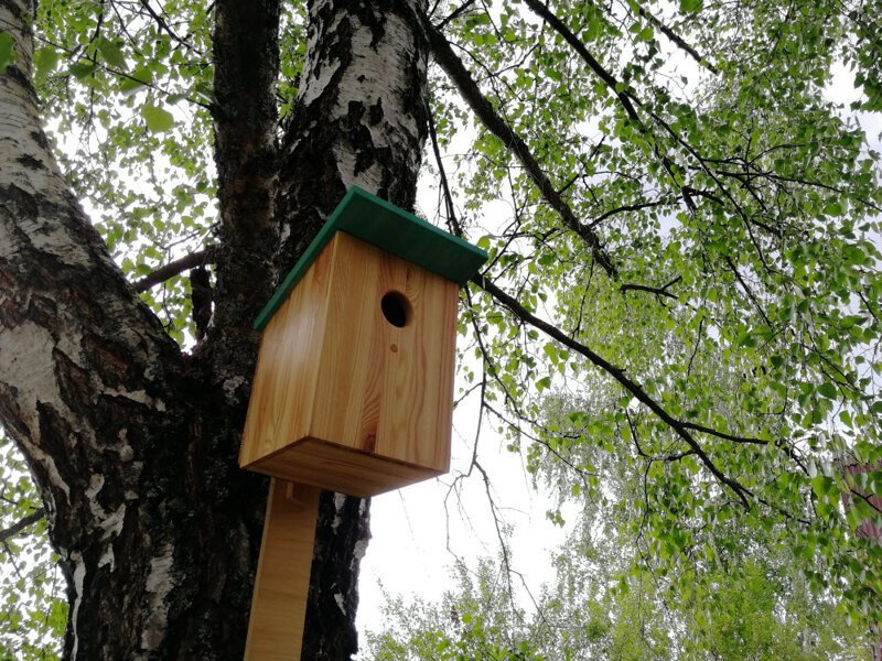 Скворечник без щелей и гвоздей