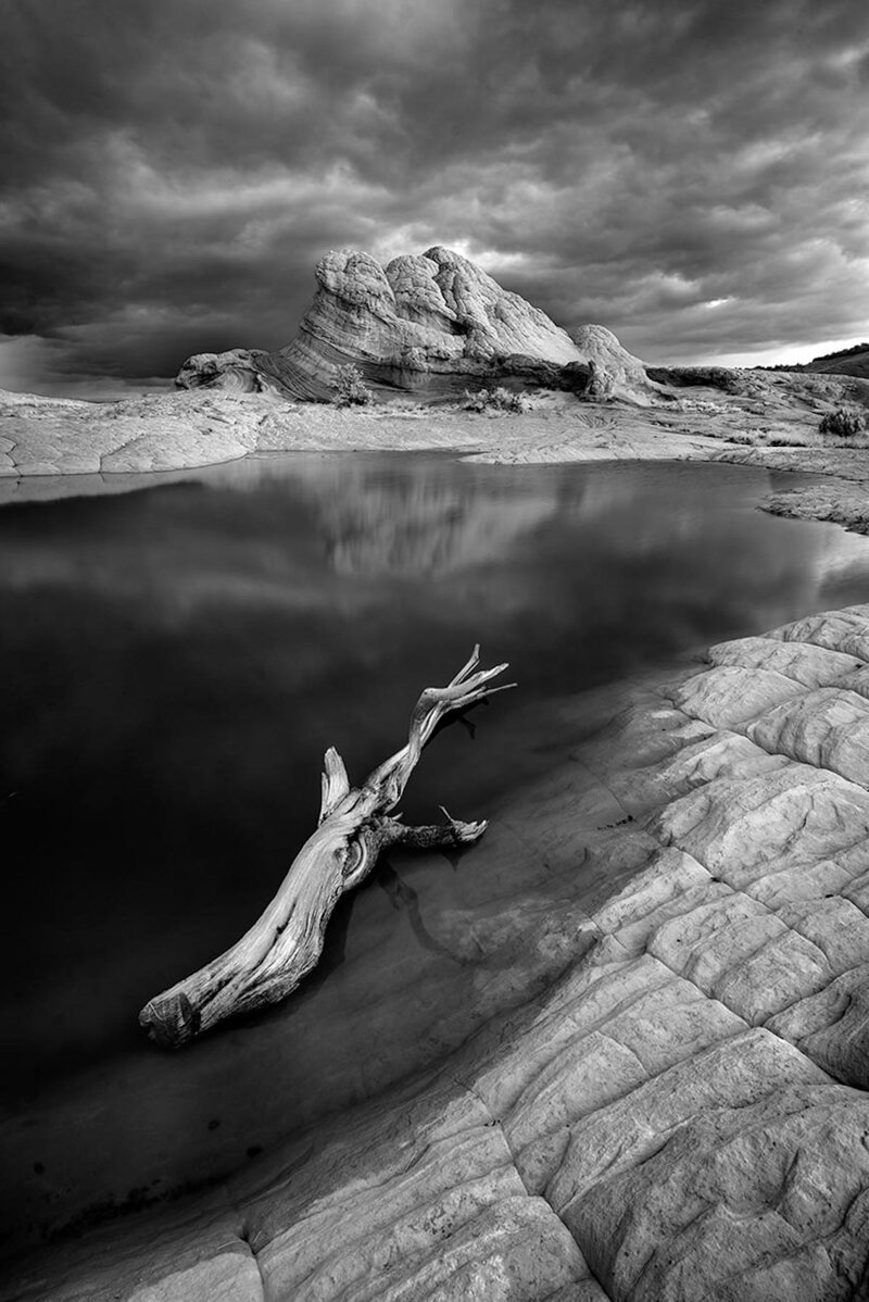 "Жизнь в пустыне" - Клаус Прибе, 3 место в категории "Черно-белое инфракрасное фото"