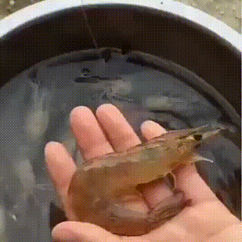 Удалили саме грязное