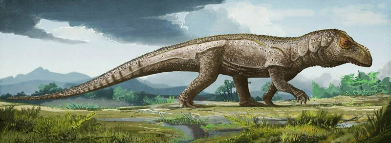 Мандазухус. Кузен современных крокодилов, Mandasuchus tanyauchen был архозавром — из родословной рептилий, которые включают динозавров, крокодилов и птиц.