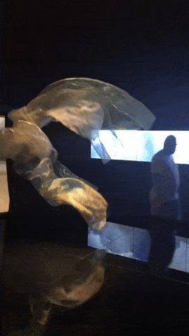 Гифки разные