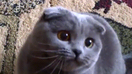 Демон вселился